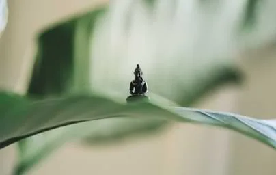 深度分析，洞悉赛场动态 - 世界杯下注